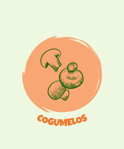 Cogumelos